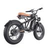 GT01 Fat Tires Off Road Electric Bike  1200W Powerful Motor outdoor E-bike